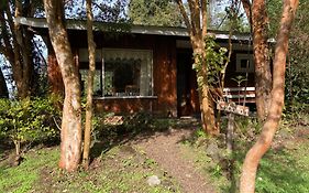 Cabañas el Bosque Patagónico